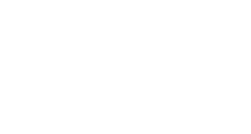 VIVO CONCERTI S.r.l.